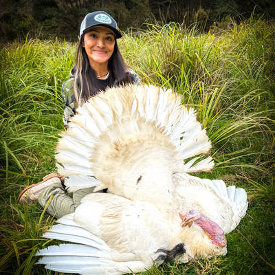 Turkey Hunt