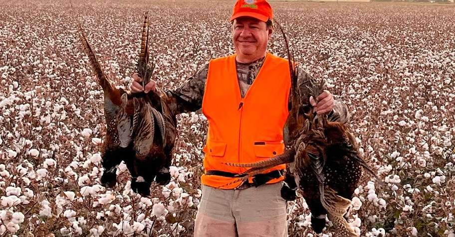 Pheasant &Quail Hunts Mexico