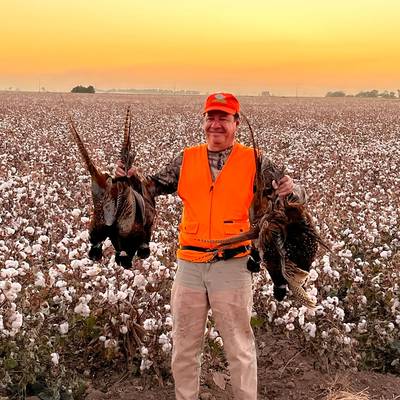 Pheasant &Quail Hunts Mexico