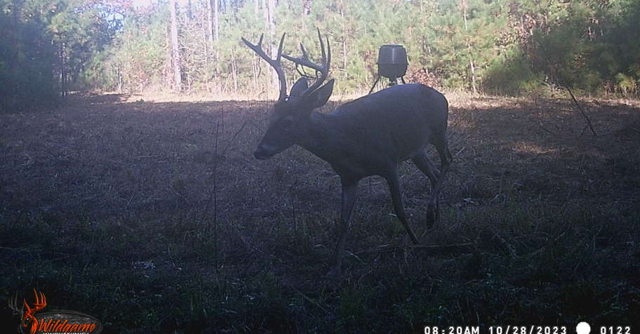 🦌4-Day Whitetail Deer Rut Hunt🔥