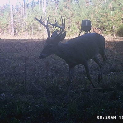 🦌4-Day Whitetail Deer Rut Hunt🔥
