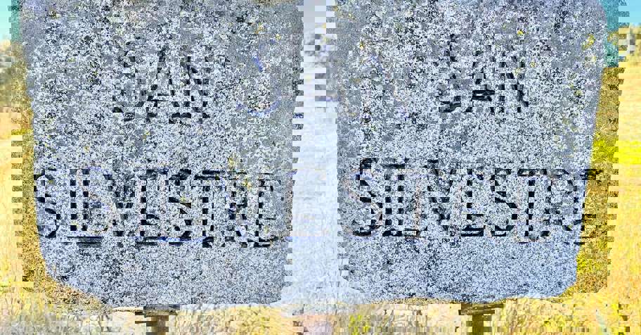 Duck Shooting - 500 bird/day