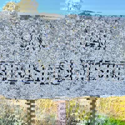 Duck Shooting - 500 bird/day