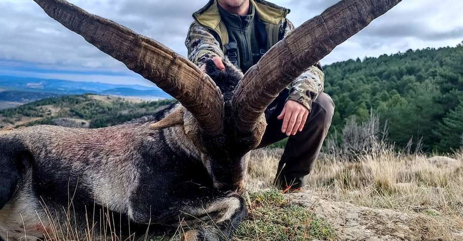 BECEITE IBEX