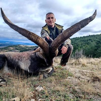 BECEITE IBEX