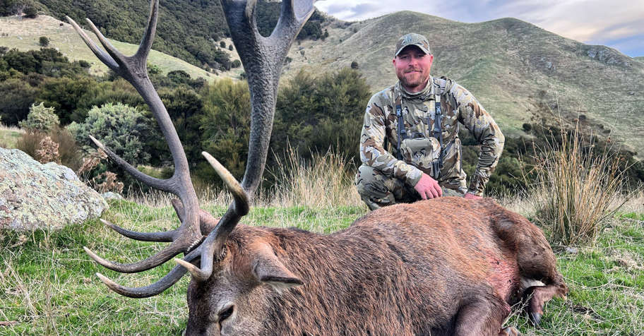 2027 Roar, Red Stag. 2x1