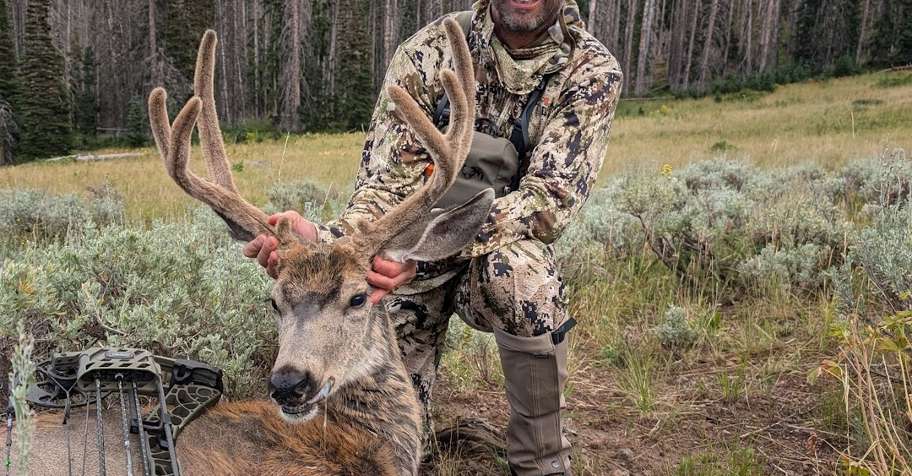 Archery Mule Deer Hunt 5 Days '26