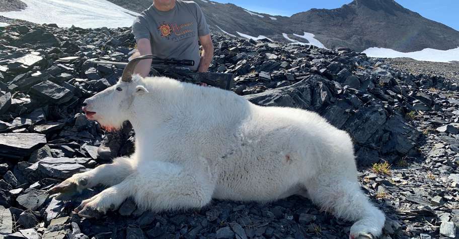 Kodiak - Mountain Goat