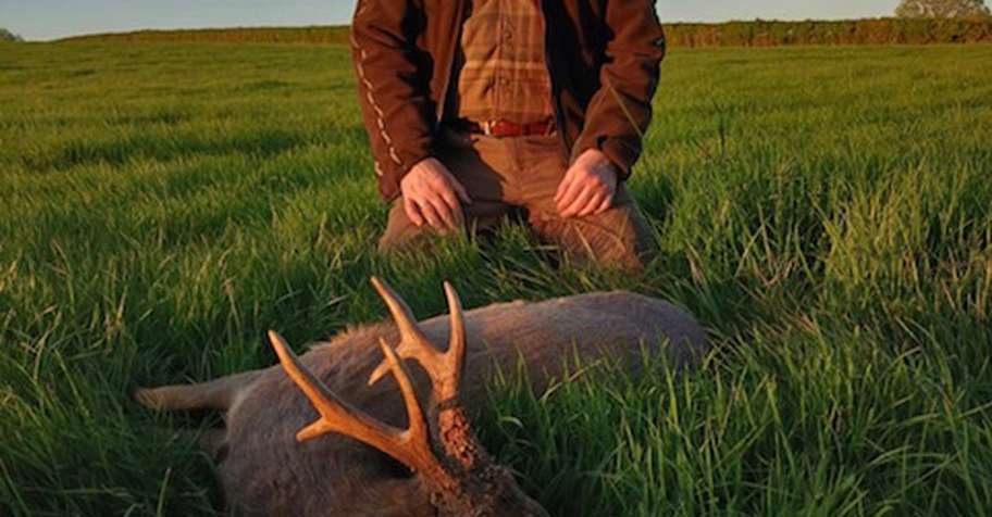 TROPHY ROE BUCKS IN THE RUT 2026
