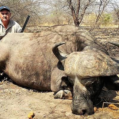 7 Day Buffalo Safari