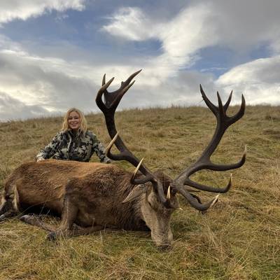 Red Stag Hunt - Up to 350"