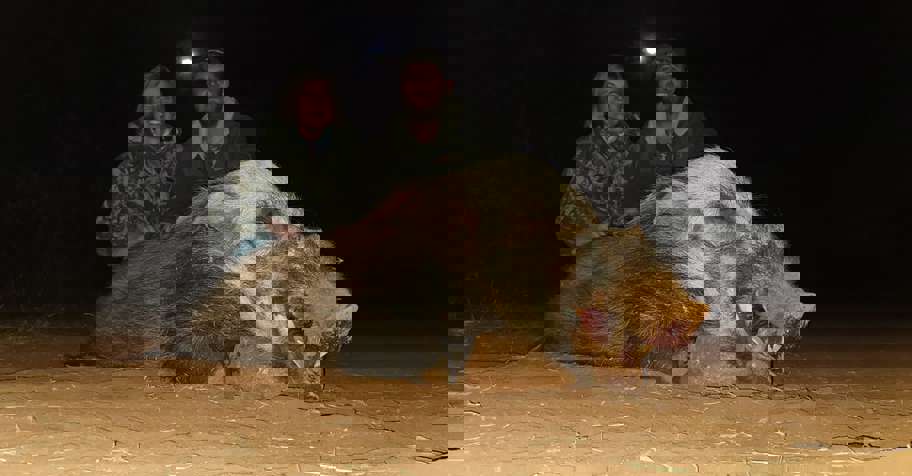 Night Hunt Combo Package