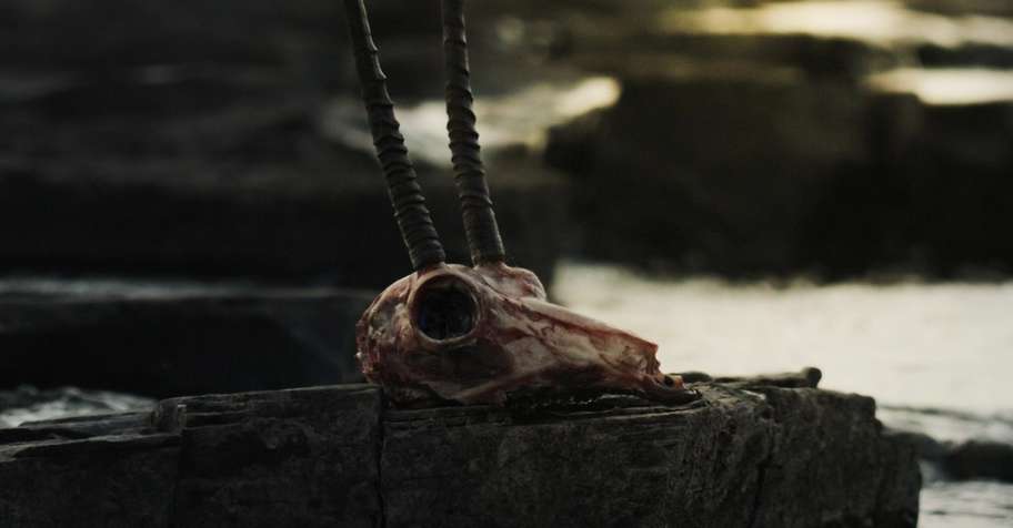 Mtn Man Free Range Safari (with Oribi!)