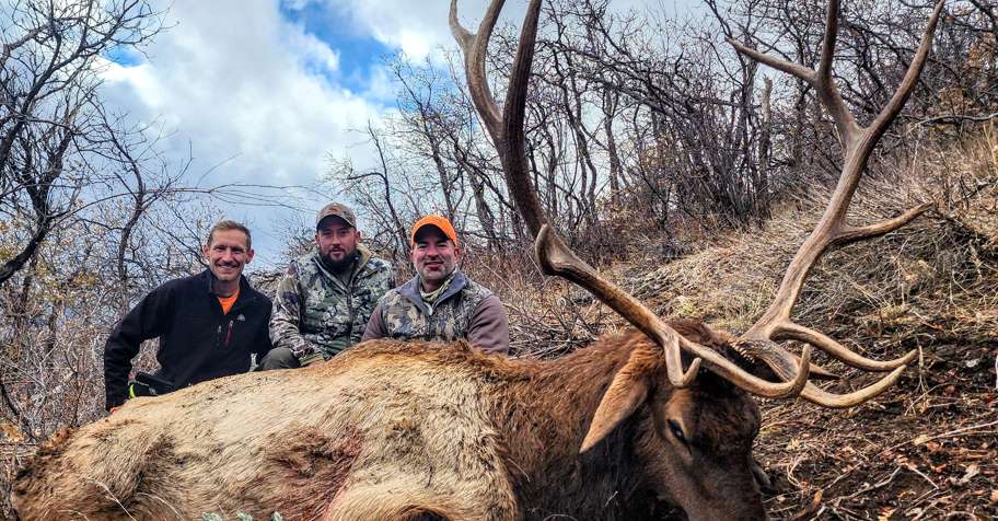 3 PPL Bull Elk and/or Mule Deer 2026