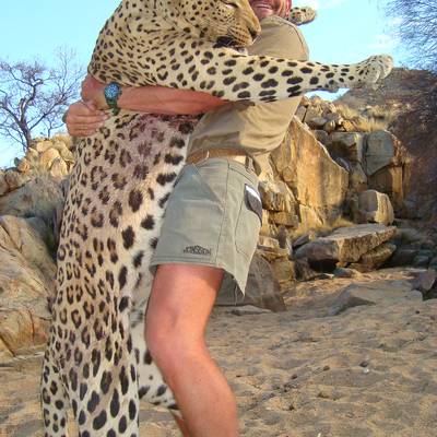 Leopard Hunt 14 days NAMIBIA