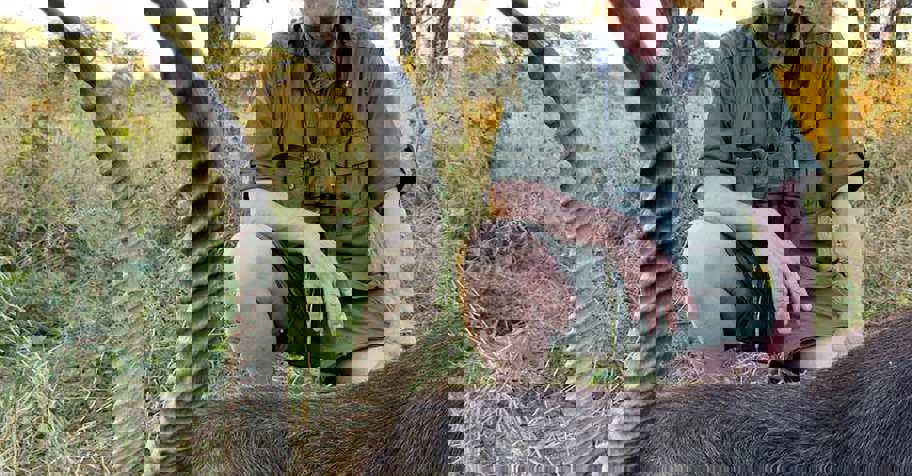 Northern Sandveld Namibia Special 2026