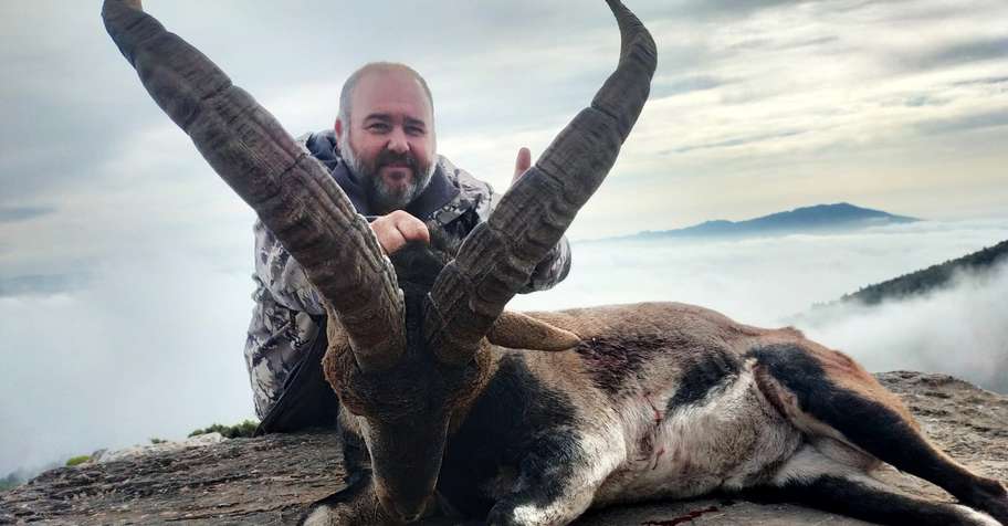 Exclusive Spanish Ibex Combo