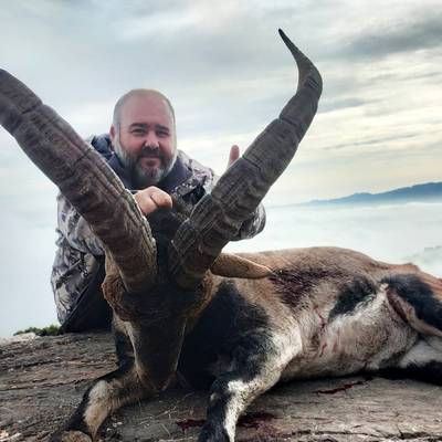 Exclusive Spanish Ibex Combo