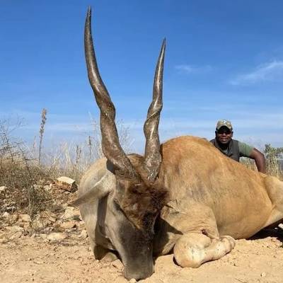 Package 2 (Bushveld Delight) 1x1