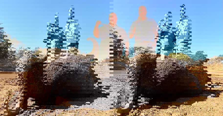 Private Game Reserve Buffalo