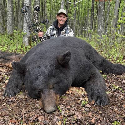 Alberta Spring Black Bear Hunt '27