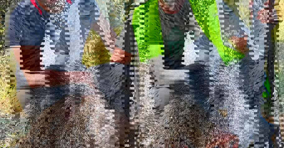 Driven and Night Hunt - Antalya 6 Day