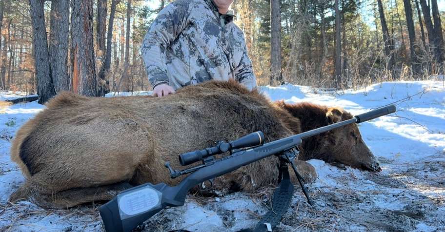 Private Land Cow Elk Hunt