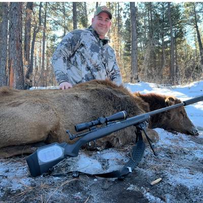 Private Land Cow Elk Hunt