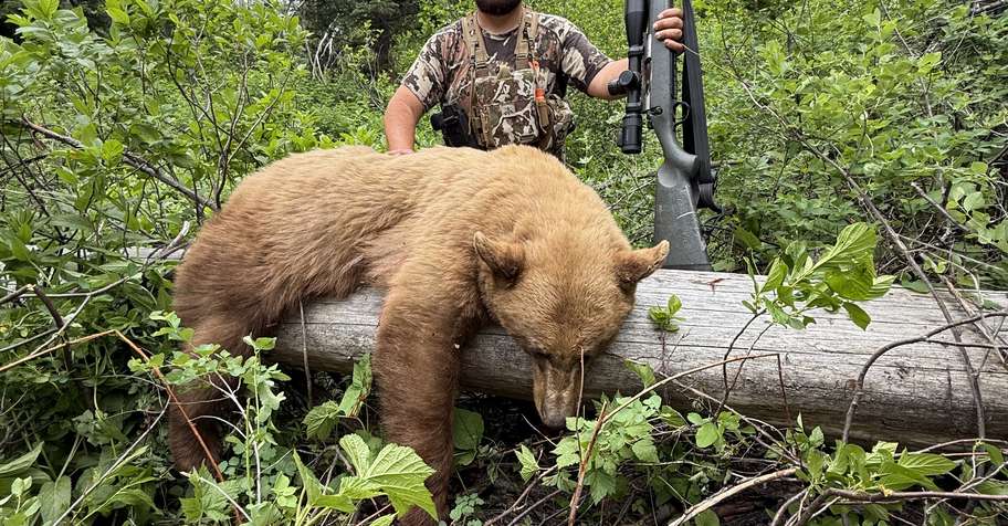 Backcountry Black Bear Hunt '26