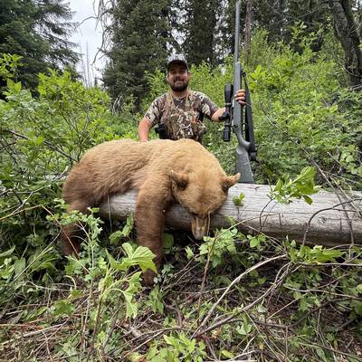 Backcountry Black Bear Hunt '26