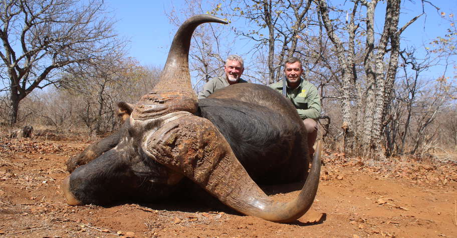 Low veld Buffalo hunt