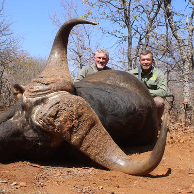 Low veld Buffalo hunt