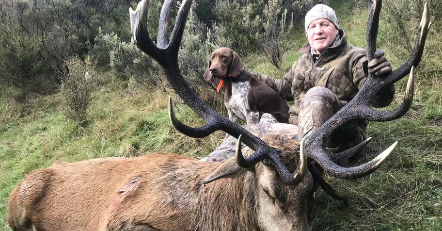 2026 Red Stag - CANCELLATION SPECIAL