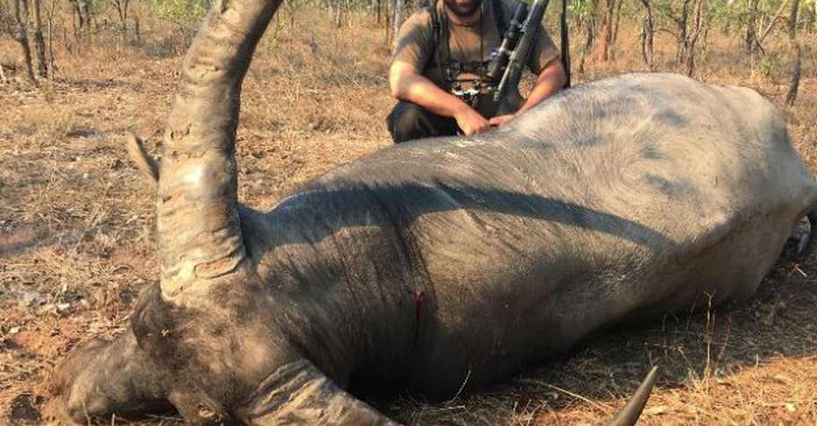 Buffalo Hunt 2x1 PRE-SHOW SPECIAL PRICE