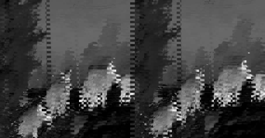 Night Hunt - Antalya 4 Day