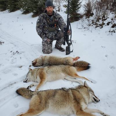 3 Days Coyote Hunt