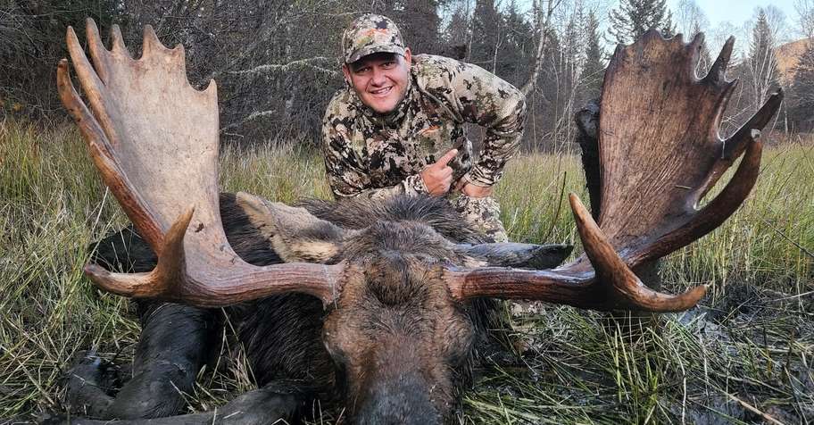 Moose Elk combo