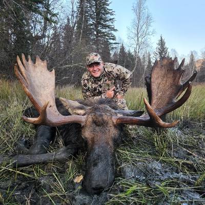 Moose Elk combo