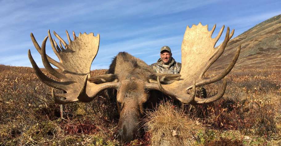 Yukon/Alaska Moose 2026