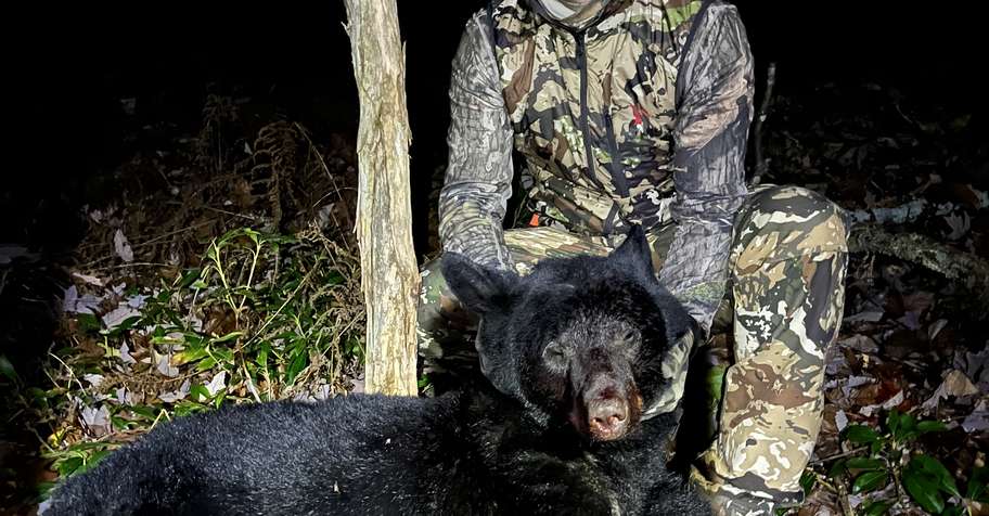 OTC black bear,mountain lion combo