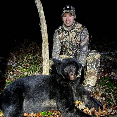 OTC black bear,mountain lion combo