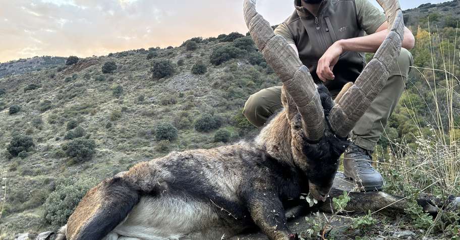 Southeastern Ibex Hunt