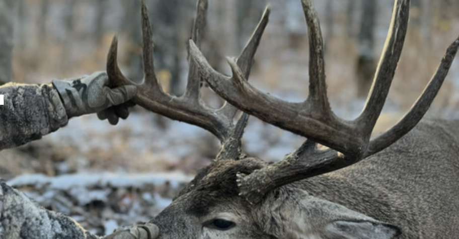 2026 Alberta Whitetail Rifle Hunt