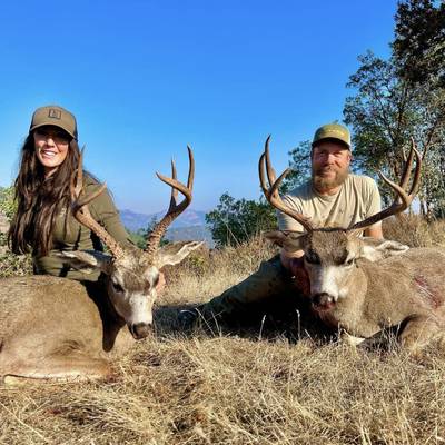 Columbian Blacktail - Rifle