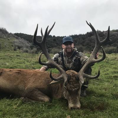 4 SPECIES - ULTIMATE NZ HUNT!!