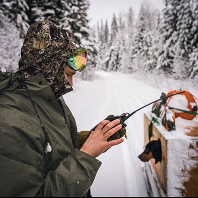 Cougar Hunt with Hounds '27