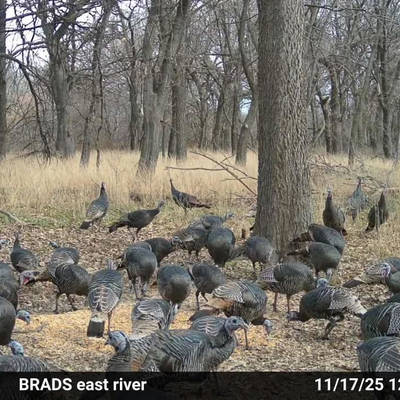 2026 Kansas Rio Turkey Hunt