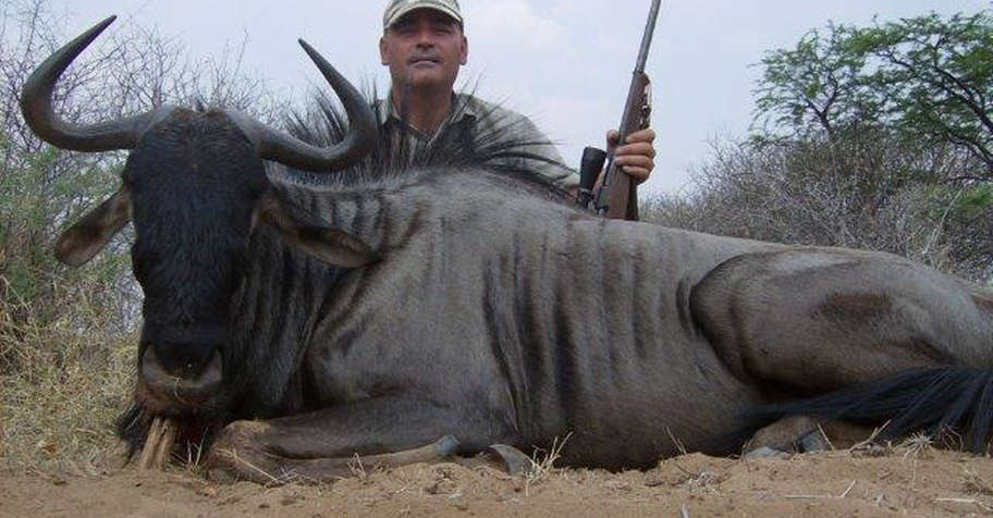 Safari Package 5