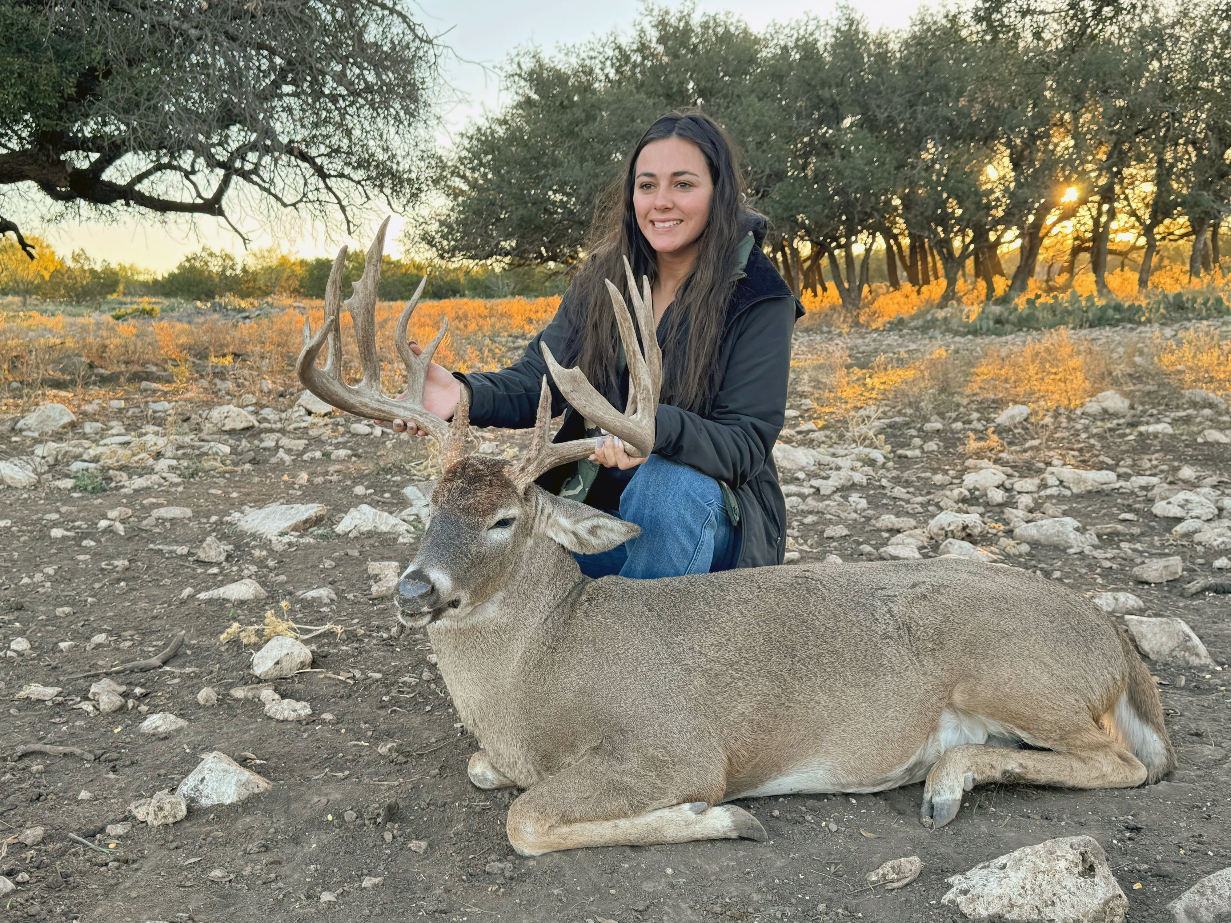 駿*か様 蝦夷鹿hunting trophy（deer skull）2025 駿*か様 蝦夷鹿hunting trophy（deer skull）2025