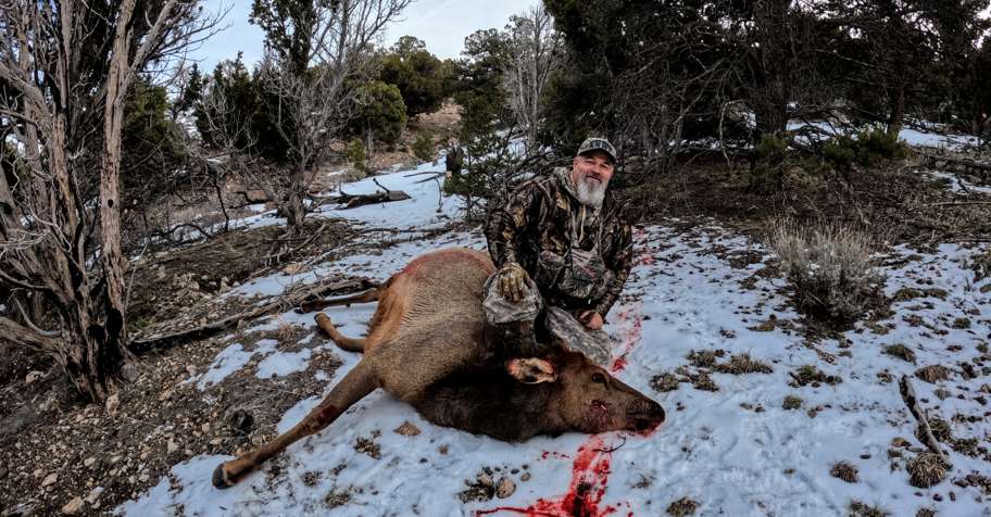 Cow Elk Hunt